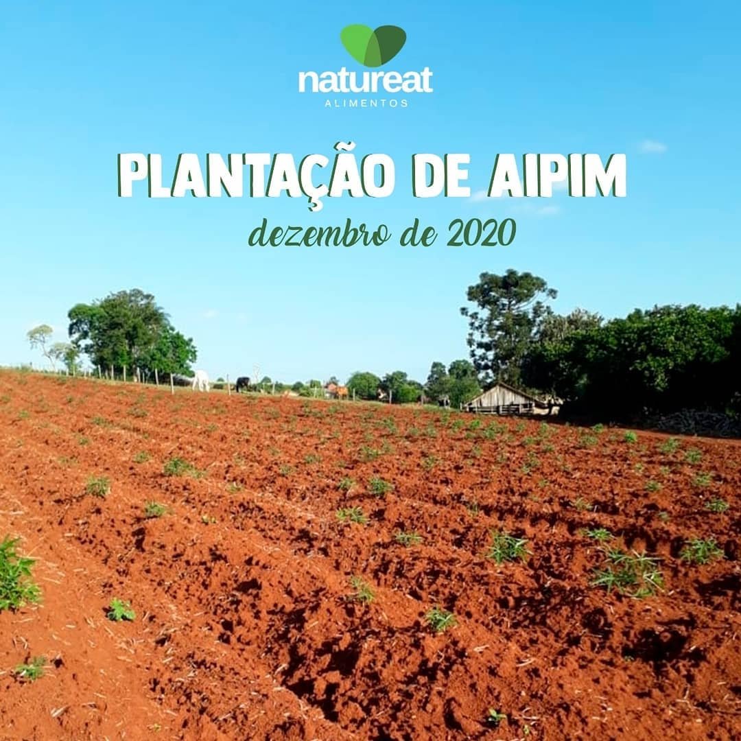 Nossos Projetos — imagem histórica